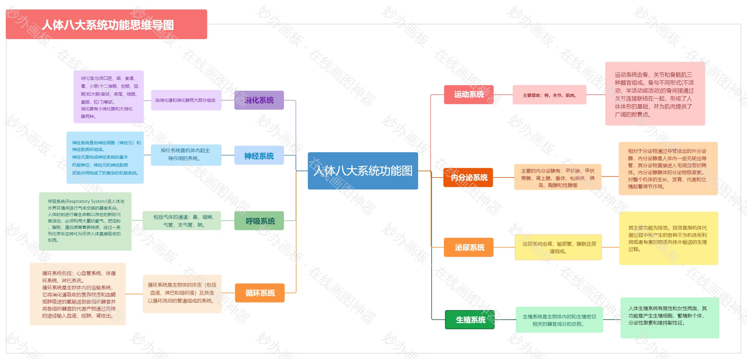 人体八大系统功能图思维导图