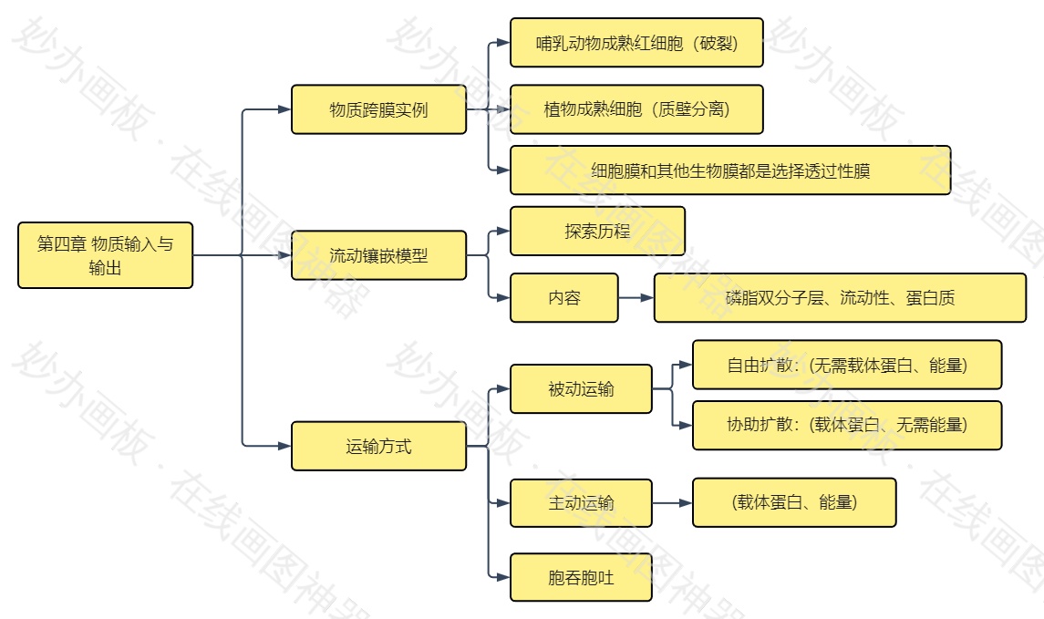 高中